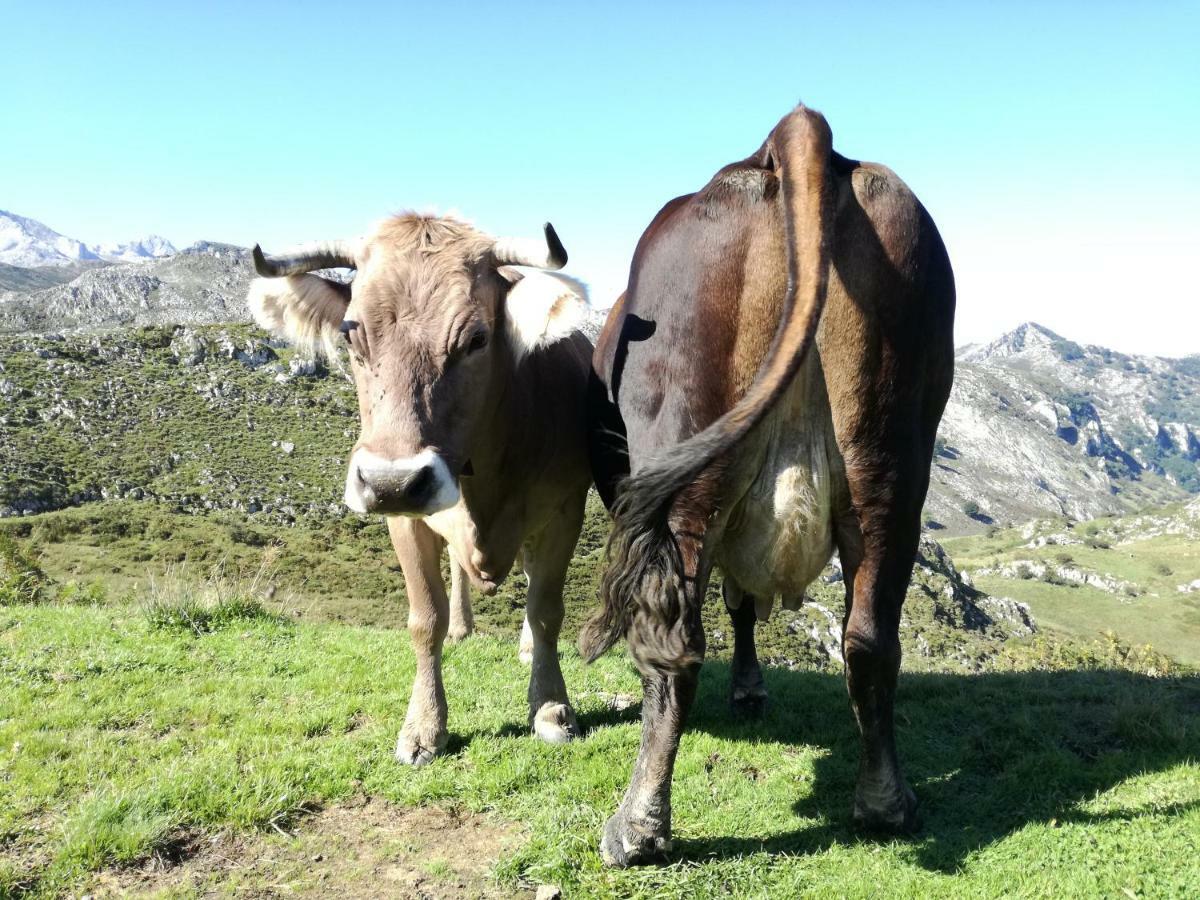 El Balcon Del Sella Leilighet Onís Eksteriør bilde